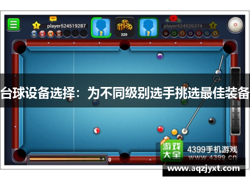 台球设备选择：为不同级别选手挑选最佳装备