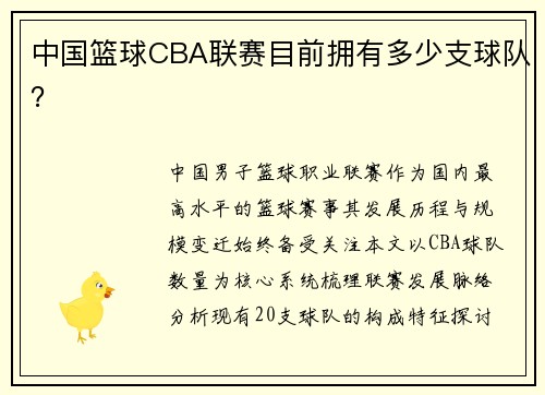 中国篮球CBA联赛目前拥有多少支球队？