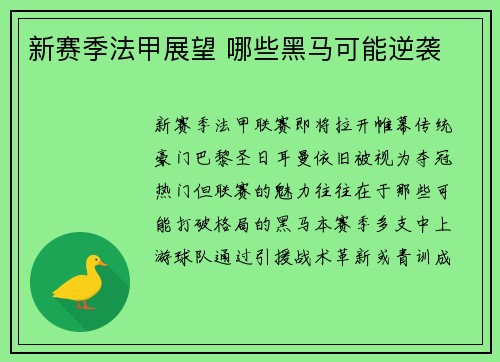 新赛季法甲展望 哪些黑马可能逆袭